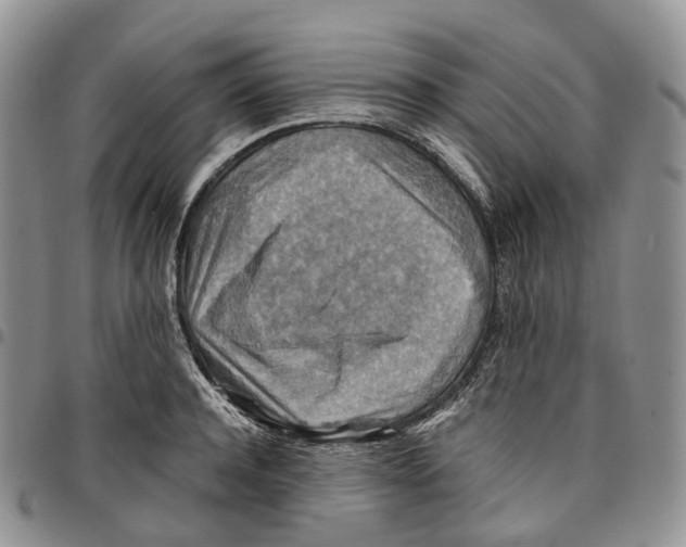 X0000096700944200803041318