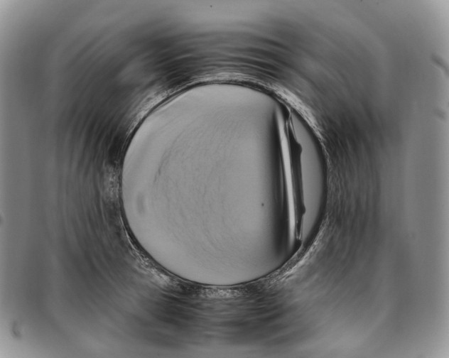 X0000096700945200803041318