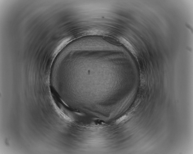X0000096700946200803041318