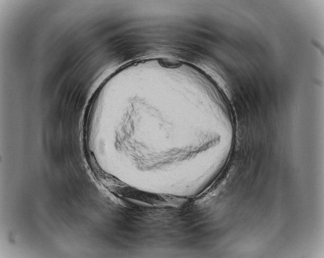 X0000096700949200803041318
