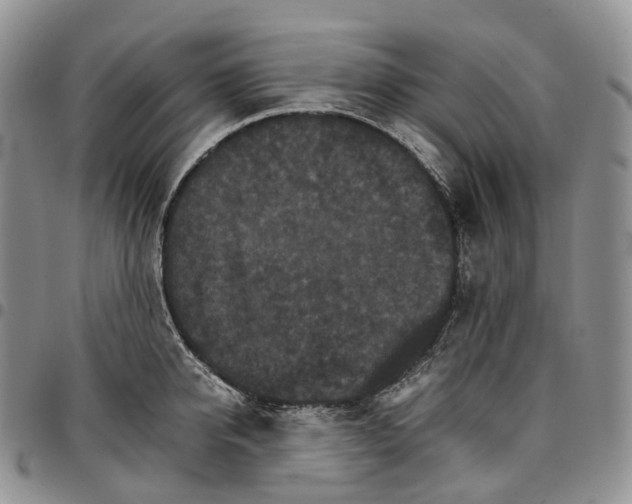 X0000096700950200803041318