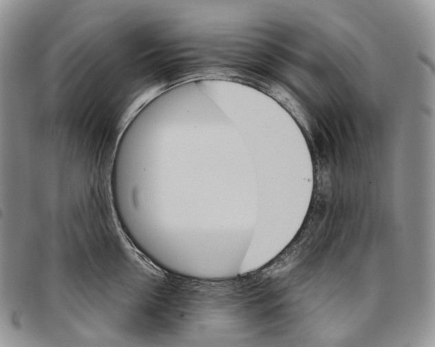 X0000096700954200803041318