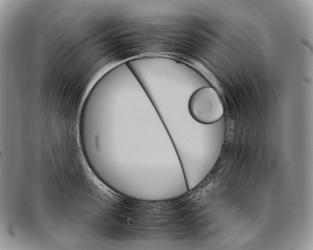 X0000096700955200803041318