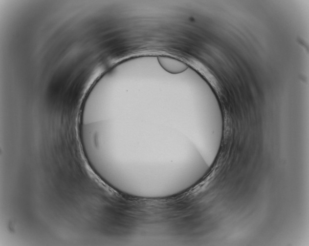 X0000096700958200803041318