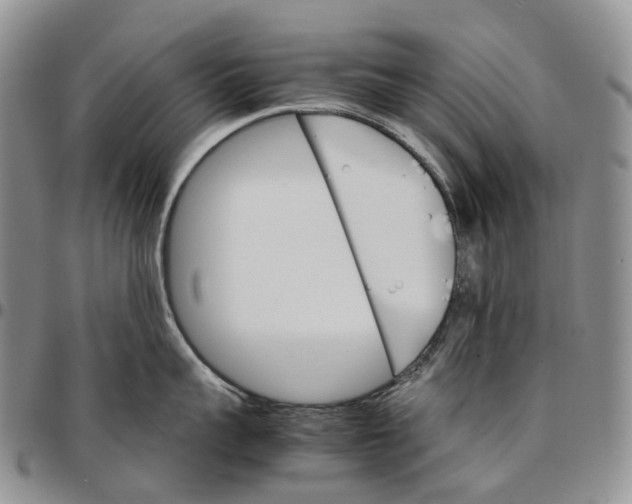 X0000096700959200803041318