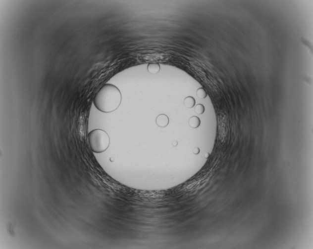 X0000096700962200803041318