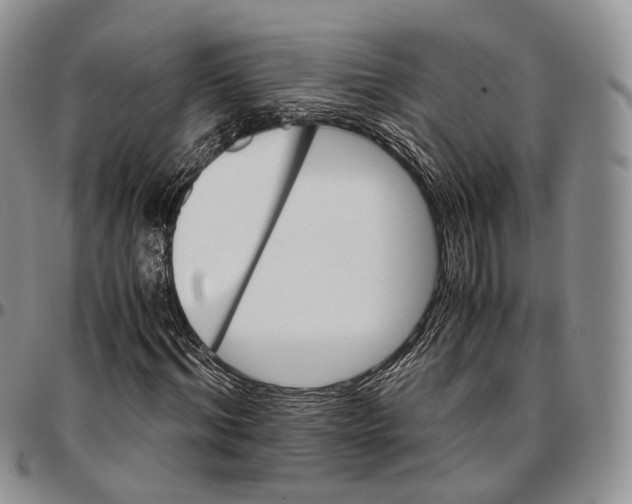 X0000096700964200803041318