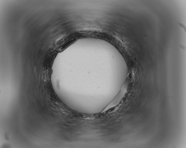 X0000096700965200803041318