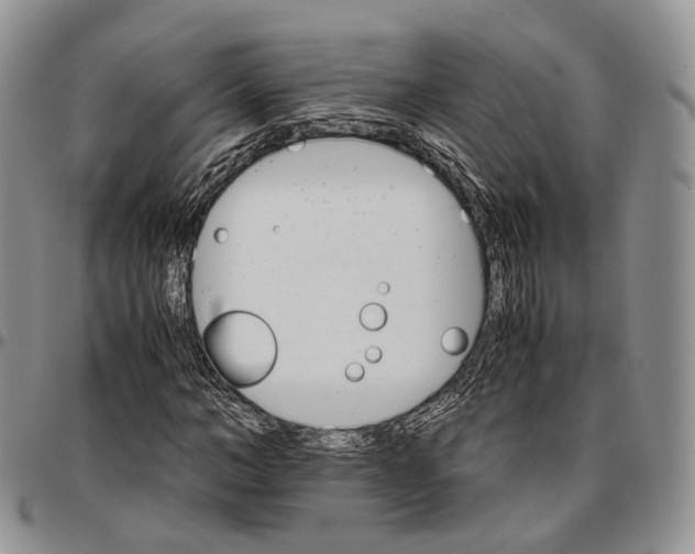 X0000096700966200803041318