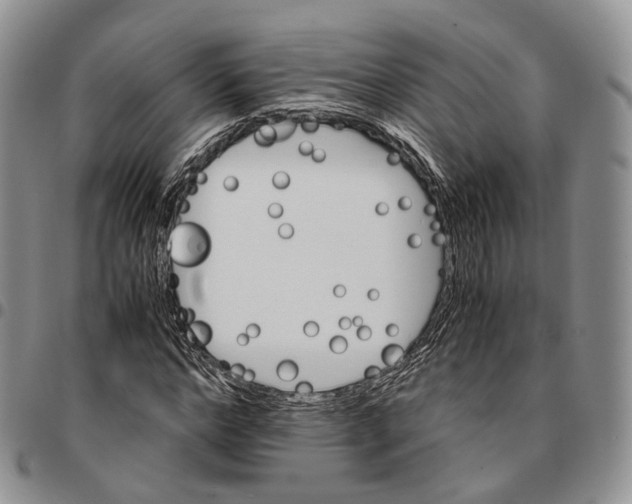 X0000096700968200803041318