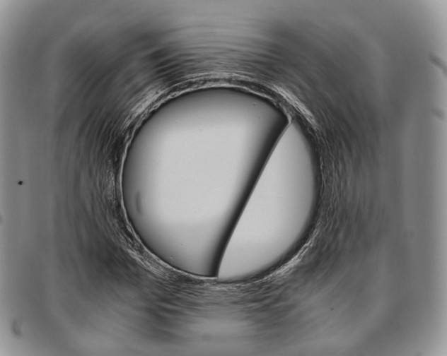 X0000096700969200803041318