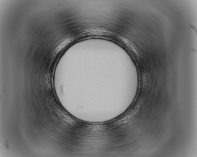 X0000096700970200803041318