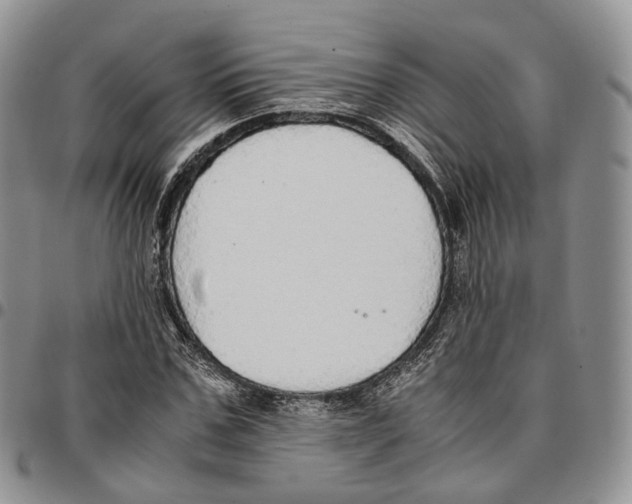 X0000096700971200803041318