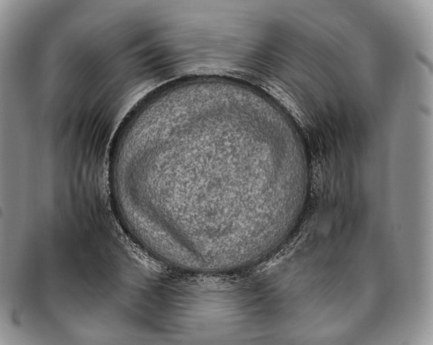 X0000096700976200803041317