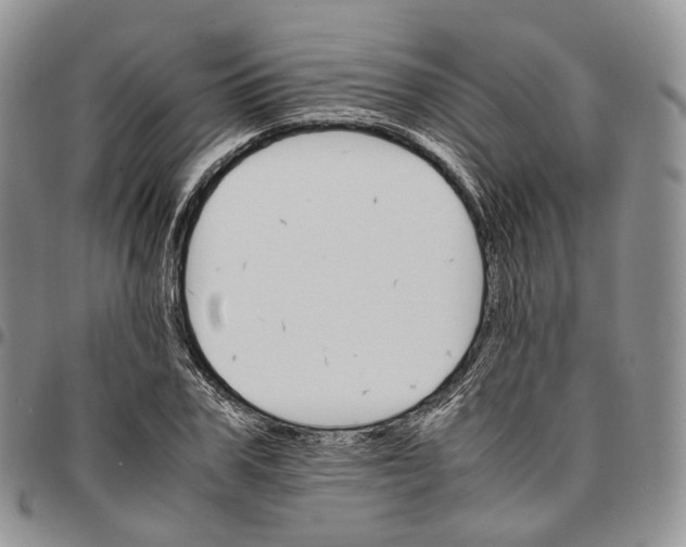 X0000096700979200803041317