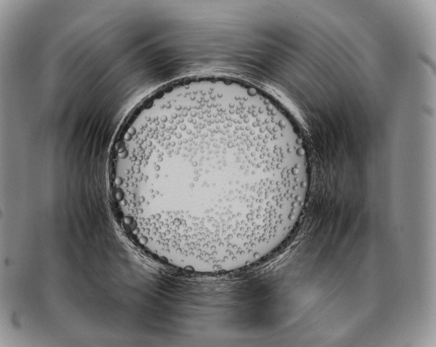 X0000096700980200803041317