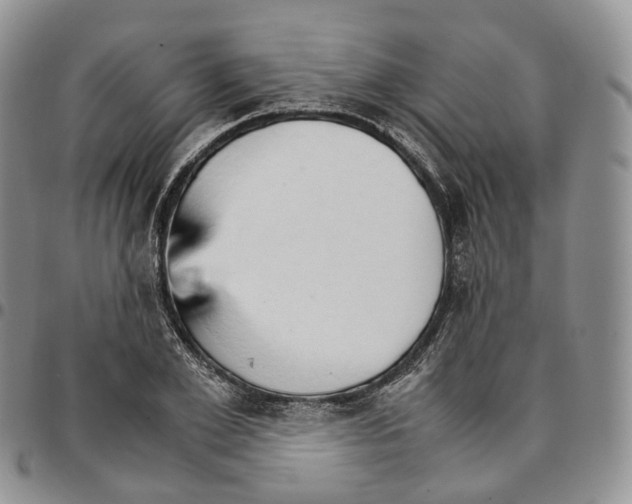 X0000096700981200803041317