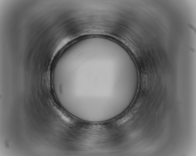 X0000096700982200803041317