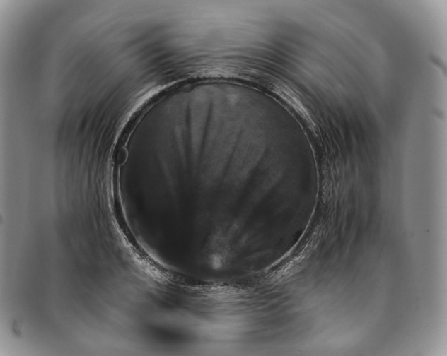 X0000096700984200803041317