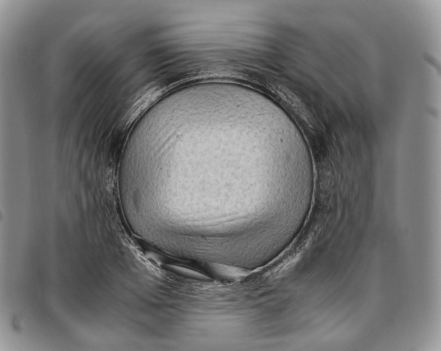 X0000096700985200803041317