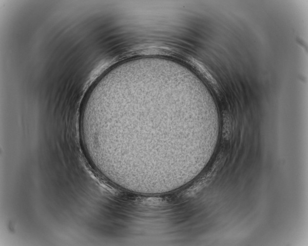 X0000096700986200803041317