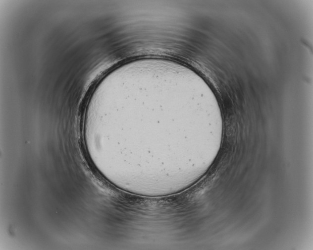 X0000096700987200803041317