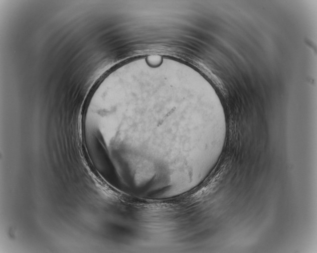 X0000096700988200803041317