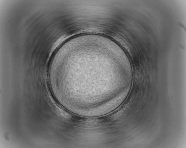 X0000096700989200803041317