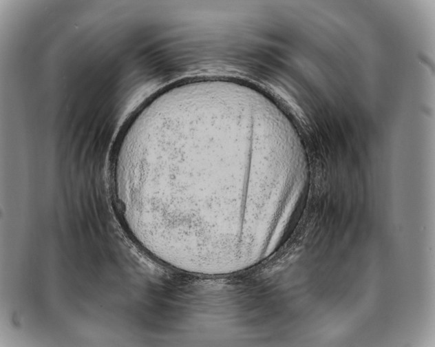 X0000096700990200803041317