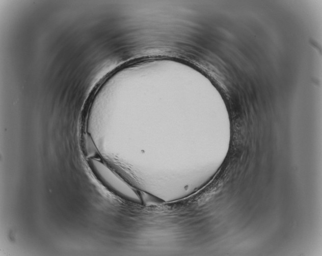 X0000096700991200803041317