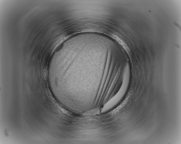 X0000096700993200803041317
