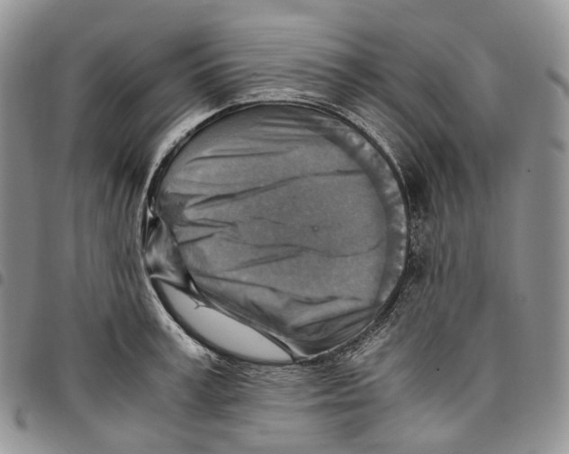 X0000096700995200803041317