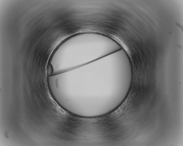 X0000096700996200803041317