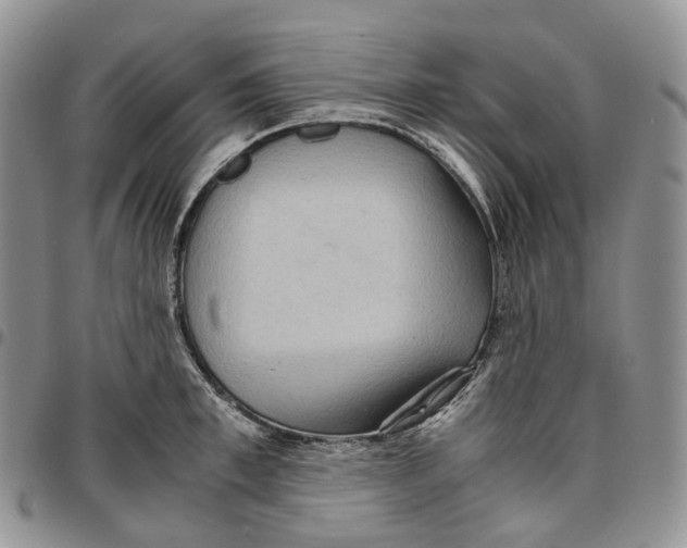 X0000096700997200803041317
