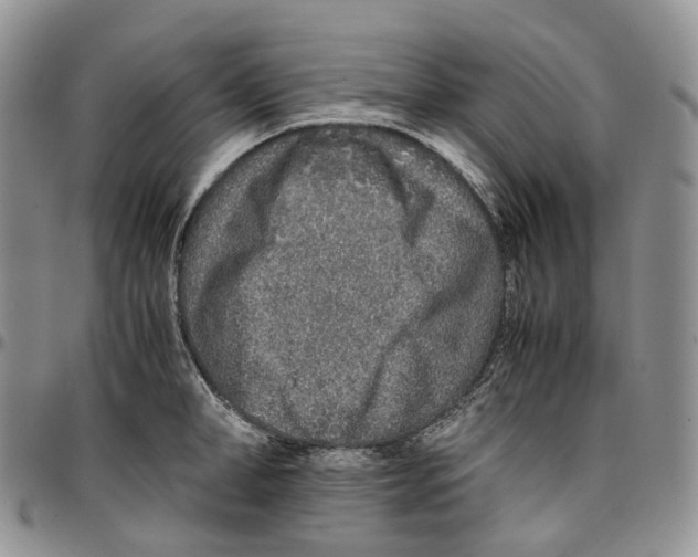 X0000096700998200803041317