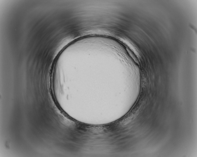 X0000096700999200803041317
