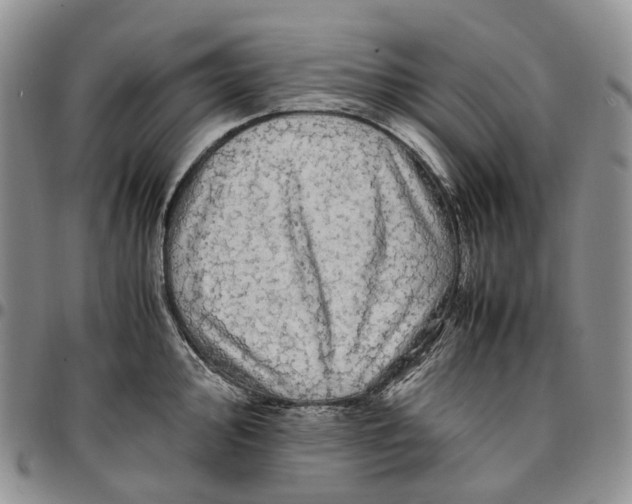 X0000096701000200803041317