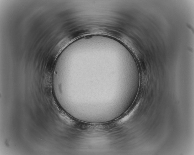 X0000096701001200803041317