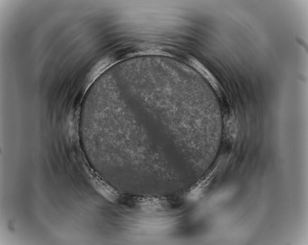 X0000096701002200803041317