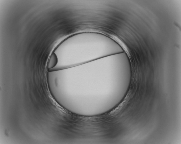 X0000096701004200803041317