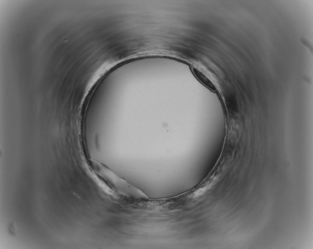 X0000096701005200803041317