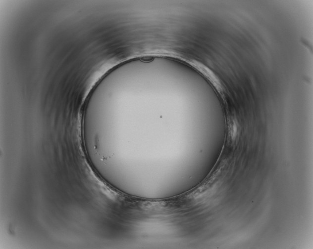 X0000096701006200803041317
