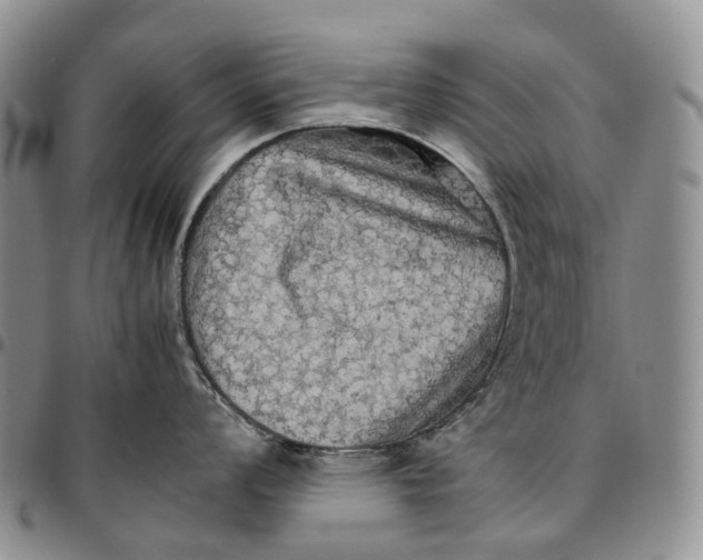 X0000096701008200803041317