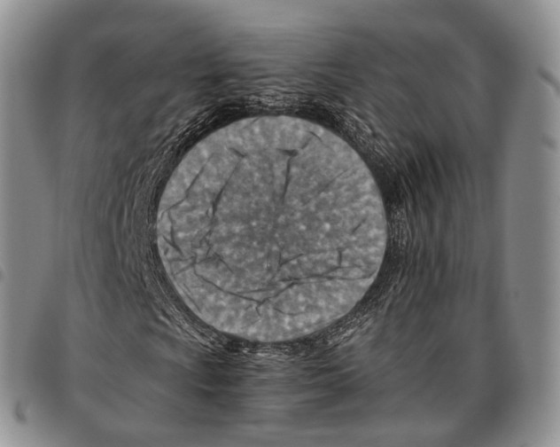 X0000096701009200803041316