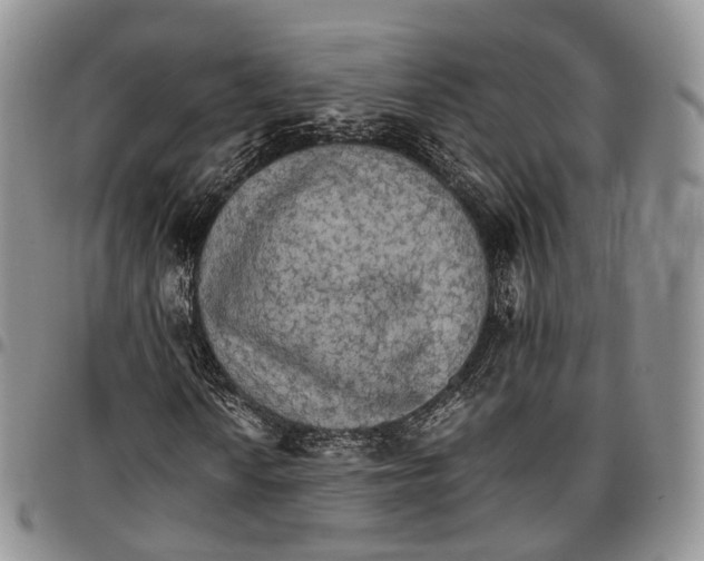 X0000096701010200803041317