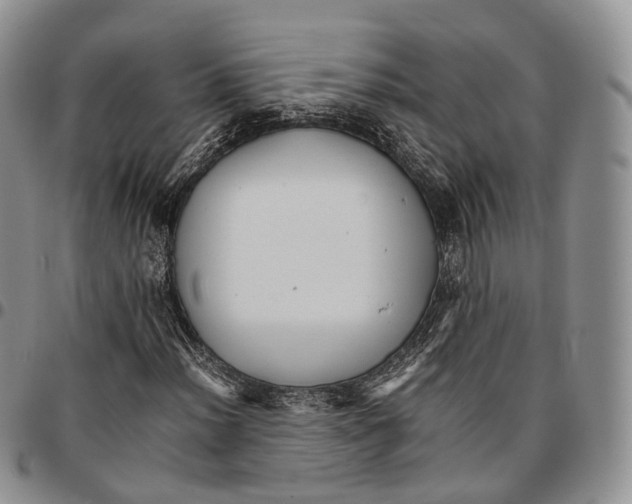 X0000096701012200803041317