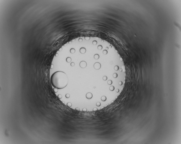 X0000096701013200803041317