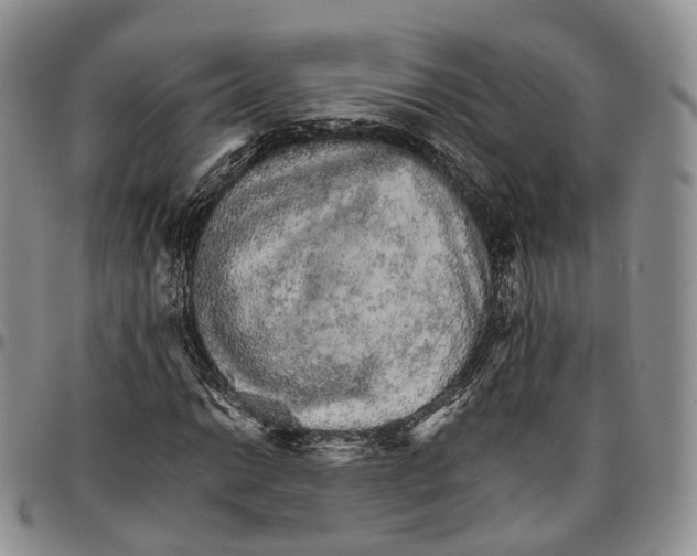X0000096701014200803041317