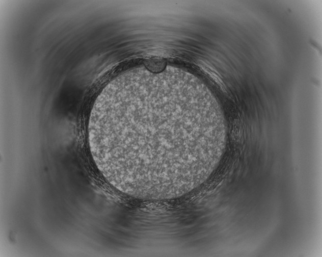X0000096701015200803041317
