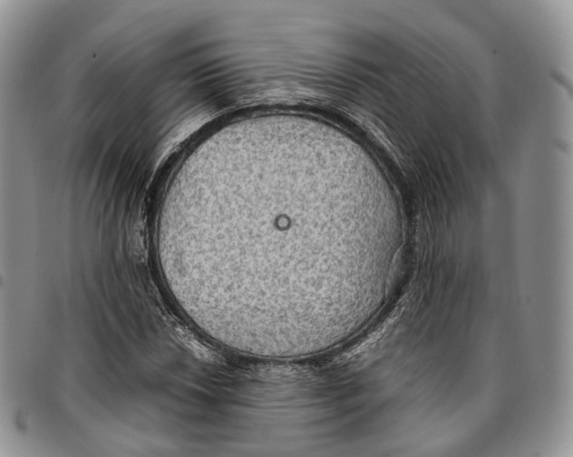 X0000096701018200803041317
